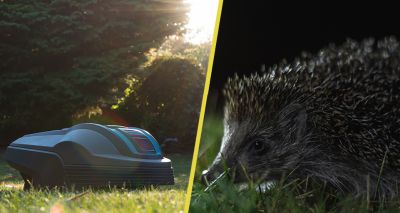 Study to investigate whether robotic mowers are harmful to hedgehogs